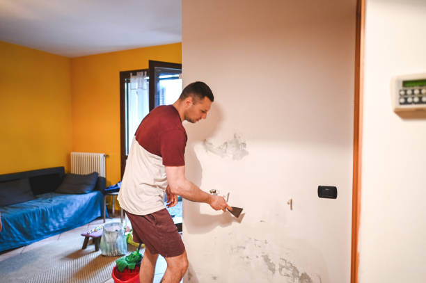 Best DIY Mold Remediation Support Services in New Haven, WV